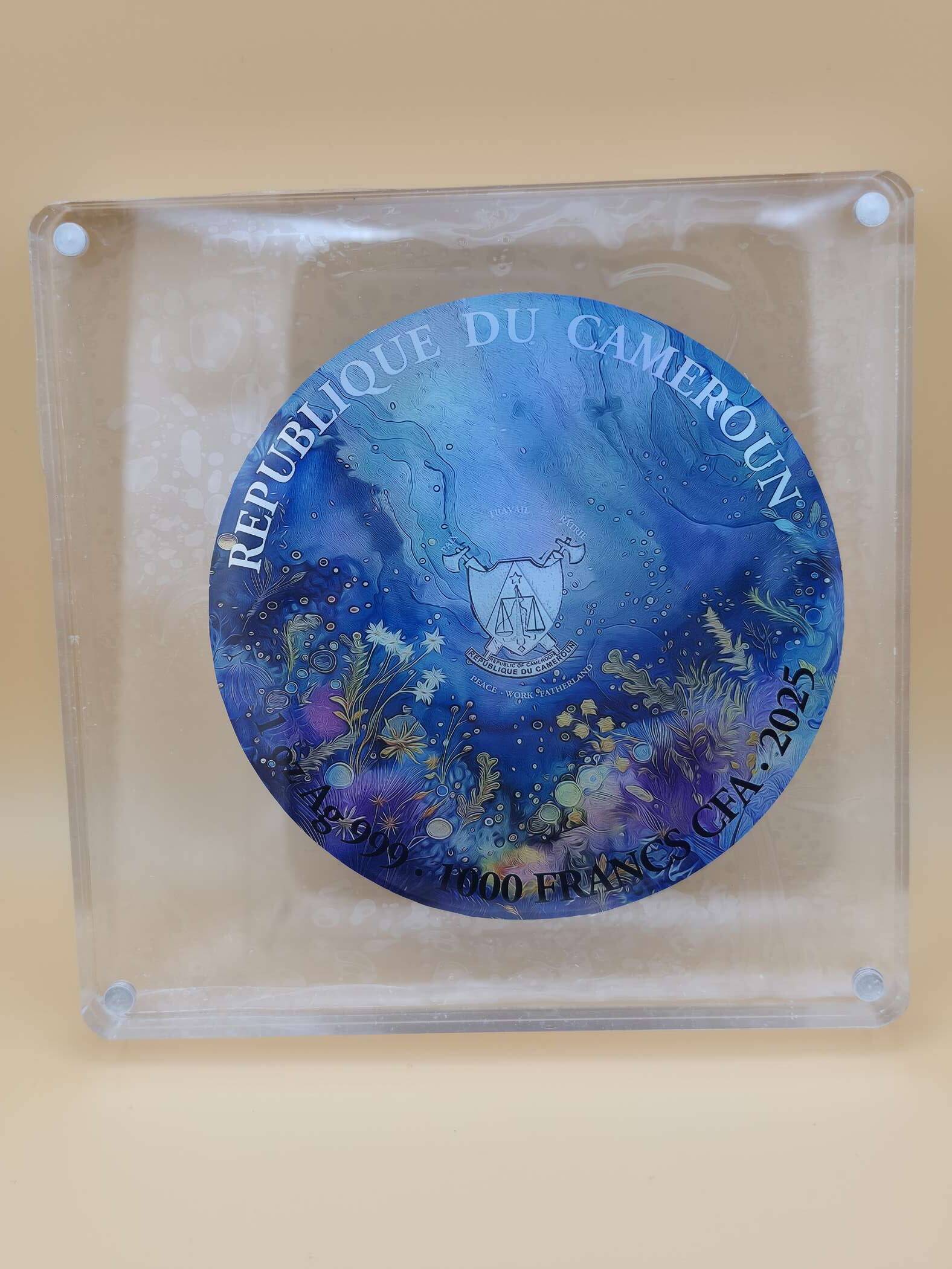 Fairy in Fairyland 2025 - 1oz Silber Gigant (120 mm) – Bild 2