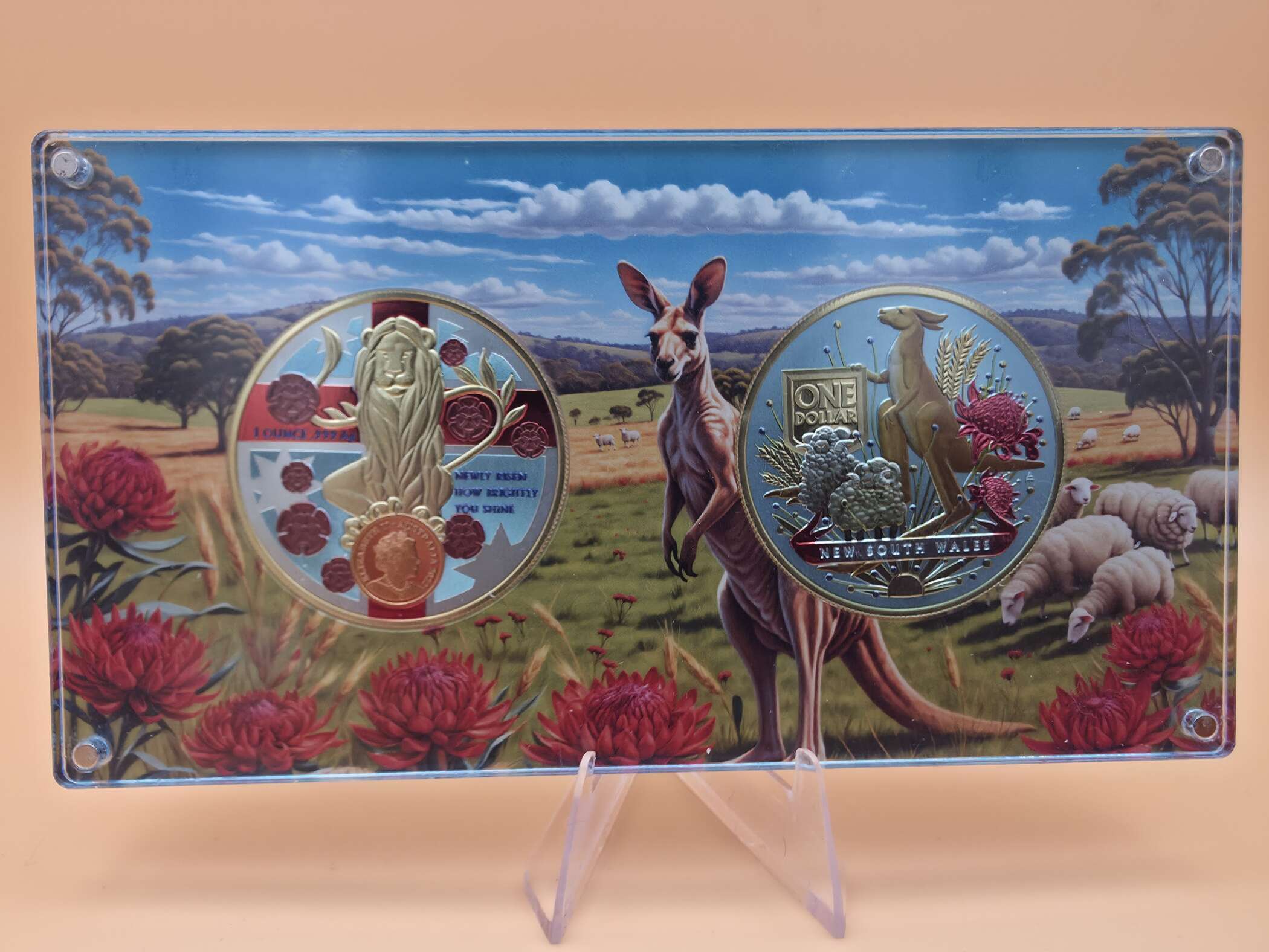 Australia’s Coat of Arms – New South Wales – 2× 1 oz Silbermünzen Set – Royal Australian Mint – Bild 3