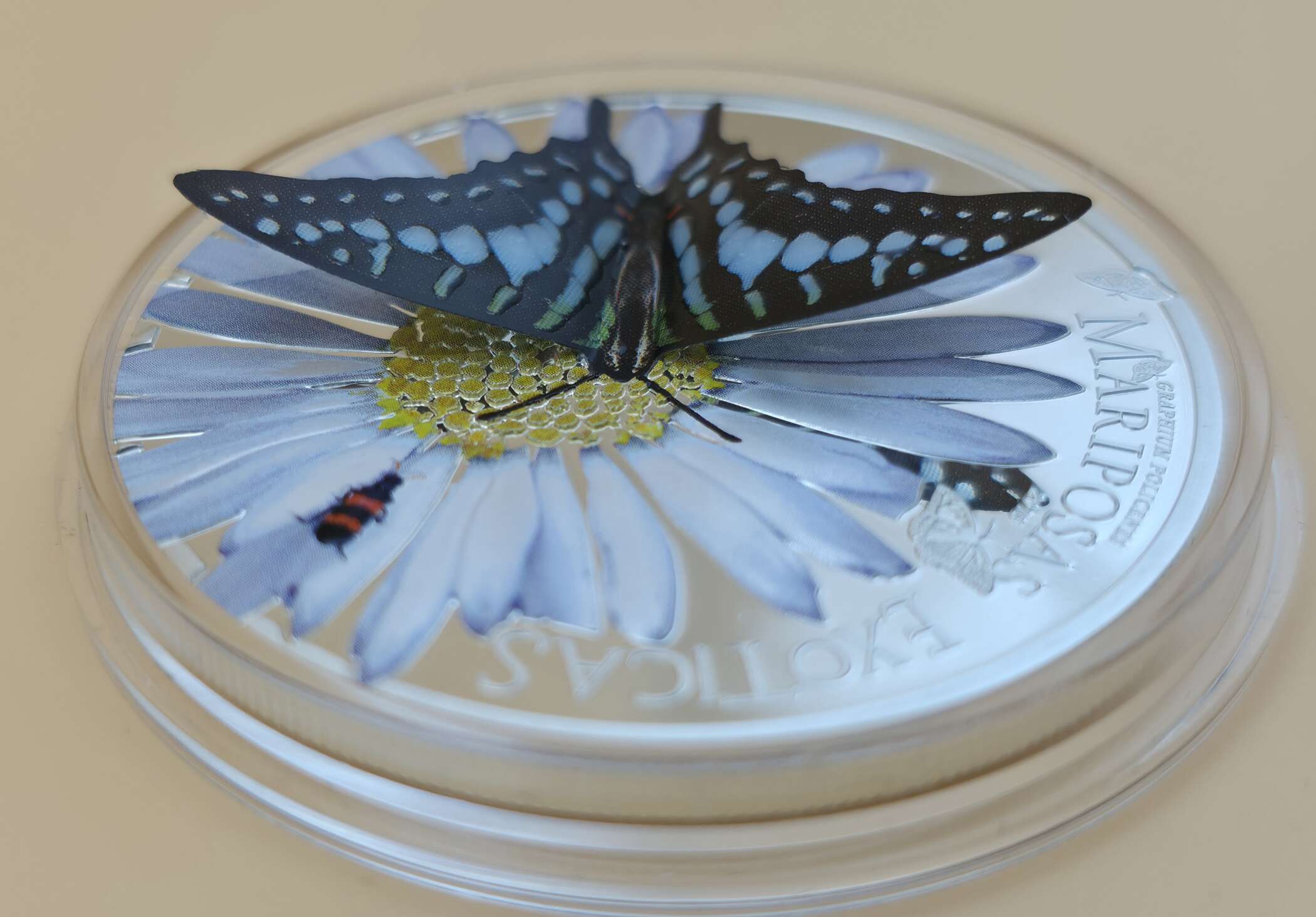 1 oz Silbermünze „Mariposas Exóticas – Graphium Policenses“ 2015 mit farbigem 3D‑Schmetterling in Holzbox mit Zertifikat.